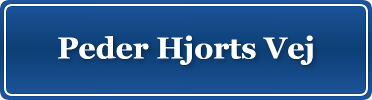 Parkering p&aring; Peder Hjorts Vej, K&oslash;benhavn