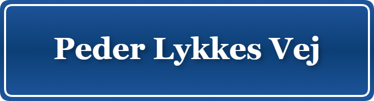 Parkering p&aring; Peder Lykkes Vej, K&oslash;benhavn
