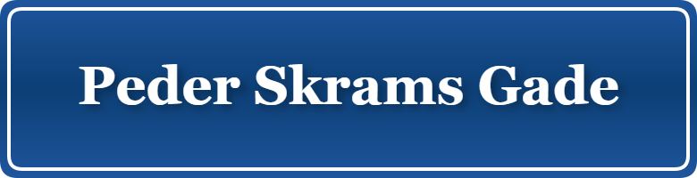 Parkering p&aring; Peder Skrams Gade, K&oslash;benhavn