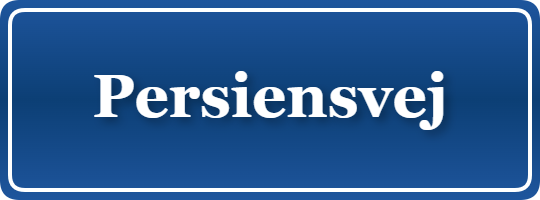 Parkering p&aring; Persiensvej, K&oslash;benhavn