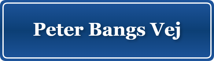 Parkering p&aring; Peter Bangs Vej, K&oslash;benhavn