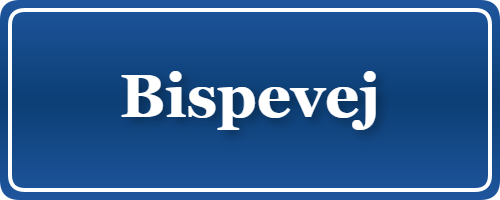 Parkering p&aring; Bispevej, K&oslash;benhavn