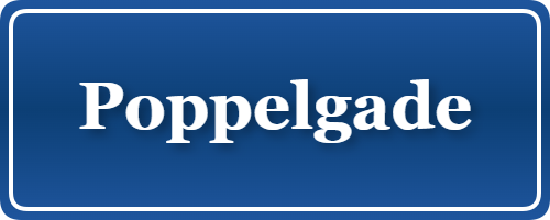 Parkering p&aring; Poppelgade, K&oslash;benhavn