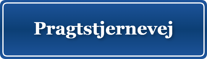 Parkering p&aring; Pragtstjernevej, K&oslash;benhavn