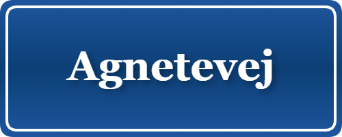 Parkering p&aring; Agnetevej, K&oslash;benhavn