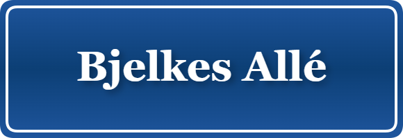 Parkering p&aring; Bjelkes Allé, K&oslash;benhavn