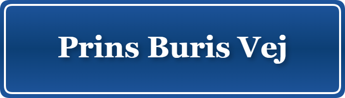 Parkering p&aring; Prins Buris Vej, K&oslash;benhavn