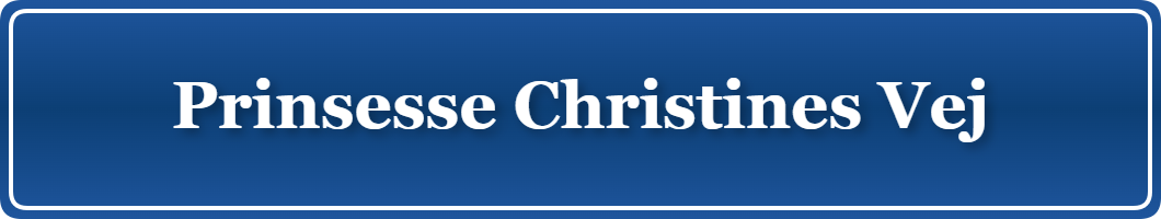 Parkering p&aring; Prinsesse Christines Vej, K&oslash;benhavn