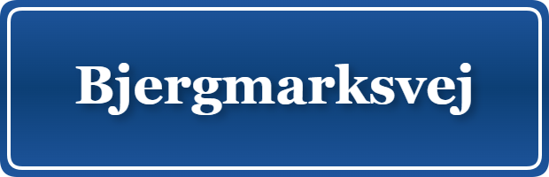 Parkering p&aring; Bjergmarksvej, K&oslash;benhavn