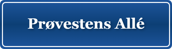 Parkering p&aring; Prøvestens Allé, K&oslash;benhavn