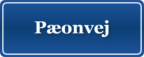 Parkering p&aring; Pæonvej, K&oslash;benhavn