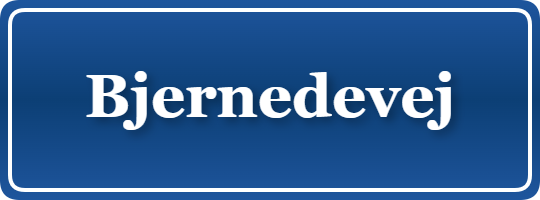 Parkering p&aring; Bjernedevej, K&oslash;benhavn