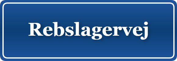 Parkering p&aring; Rebslagervej, K&oslash;benhavn