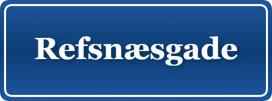 Parkering p&aring; Refsnæsgade, K&oslash;benhavn