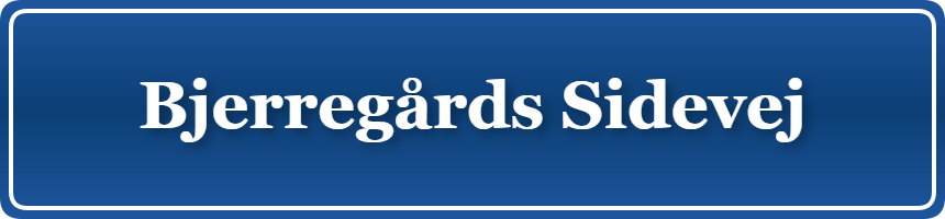 Parkering p&aring; Bjerregårds Sidevej, K&oslash;benhavn