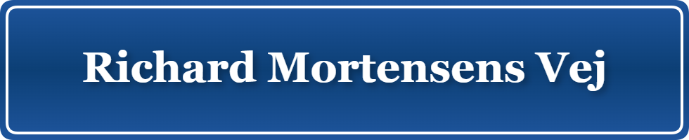 Parkering p&aring; Richard Mortensens Vej, K&oslash;benhavn