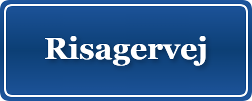 Parkering p&aring; Risagervej, K&oslash;benhavn