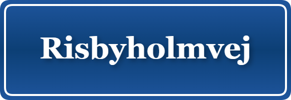 Parkering p&aring; Risbyholmvej, K&oslash;benhavn