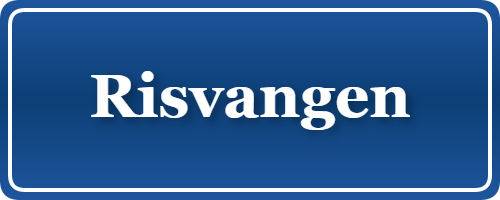 Parkering p&aring; Risvangen, K&oslash;benhavn