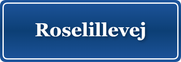 Parkering p&aring; Roselillevej, K&oslash;benhavn