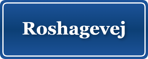 Parkering p&aring; Roshagevej, K&oslash;benhavn