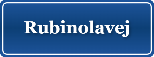 Parkering p&aring; Rubinolavej, K&oslash;benhavn