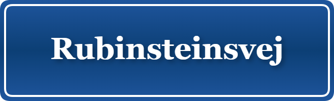 Parkering p&aring; Rubinsteinsvej, K&oslash;benhavn