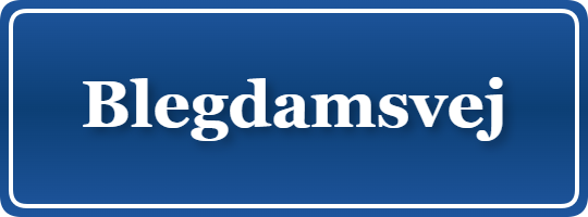 Parkering p&aring; Blegdamsvej, K&oslash;benhavn