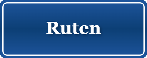 Parkering p&aring; Ruten, K&oslash;benhavn