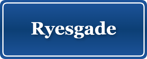 Parkering p&aring; Ryesgade, K&oslash;benhavn