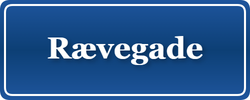 Parkering p&aring; Rævegade, K&oslash;benhavn