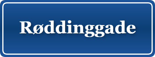 Parkering p&aring; Røddinggade, K&oslash;benhavn