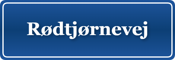 Parkering p&aring; Rødtjørnevej, K&oslash;benhavn