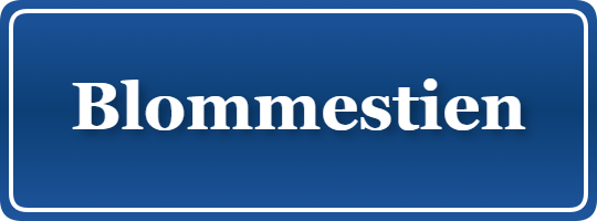 Parkering p&aring; Blommestien, K&oslash;benhavn