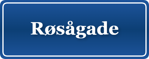 Parkering p&aring; Røsågade, K&oslash;benhavn