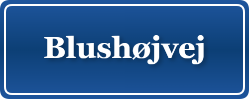 Parkering p&aring; Blushøjvej, K&oslash;benhavn