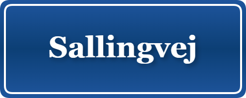 Parkering p&aring; Sallingvej, K&oslash;benhavn