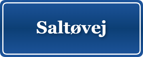 Parkering p&aring; Saltøvej, K&oslash;benhavn