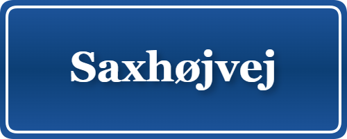 Parkering p&aring; Saxhøjvej, K&oslash;benhavn