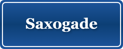 Parkering p&aring; Saxogade, K&oslash;benhavn