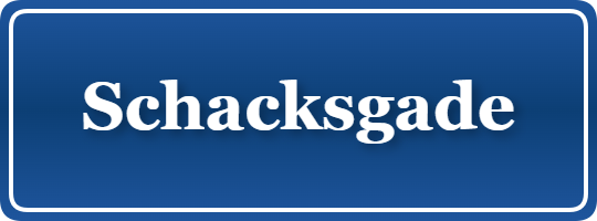 Parkering p&aring; Schacksgade, K&oslash;benhavn