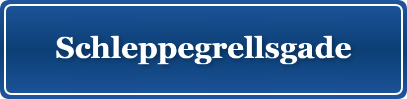 Parkering p&aring; Schleppegrellsgade, K&oslash;benhavn