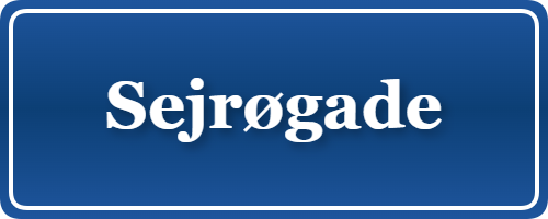 Parkering p&aring; Sejrøgade, K&oslash;benhavn