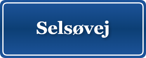 Parkering p&aring; Selsøvej, K&oslash;benhavn