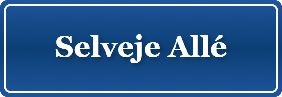 Parkering p&aring; Selveje Allé, K&oslash;benhavn