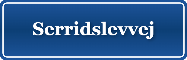 Parkering p&aring; Serridslevvej, K&oslash;benhavn