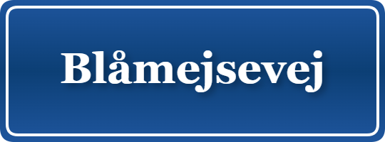 Parkering p&aring; Blåmejsevej, K&oslash;benhavn