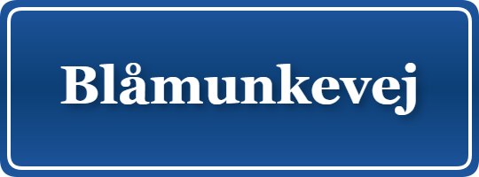 Parkering p&aring; Blåmunkevej, K&oslash;benhavn