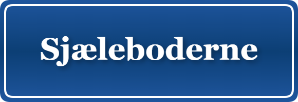 Parkering p&aring; Sjæleboderne, K&oslash;benhavn