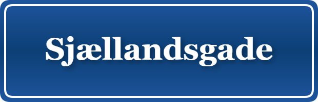 Parkering p&aring; Sjællandsgade, K&oslash;benhavn